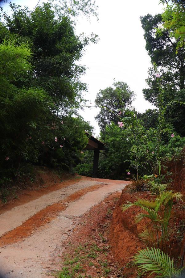 Coorg Nature Breeze Home Stay มาดิเครี ภายนอก รูปภาพ