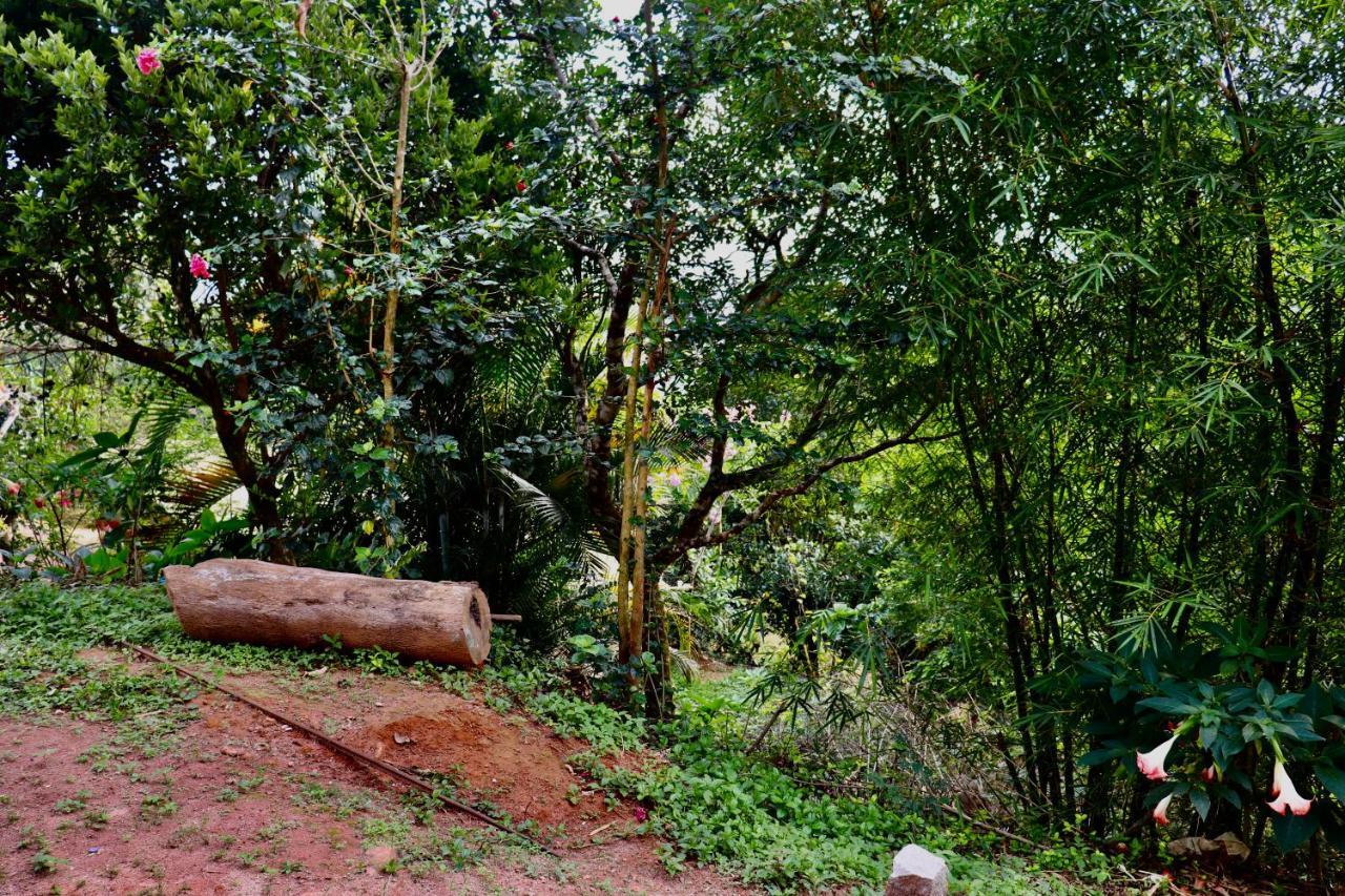 Coorg Nature Breeze Home Stay มาดิเครี ภายนอก รูปภาพ